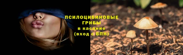 гидра Баксан