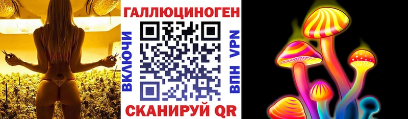 Галлюциногенные грибы Psilocybine cubensis  закладка  Гай 