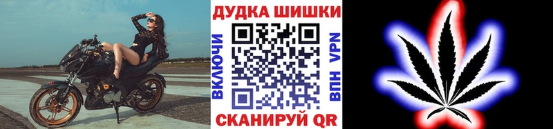 дарнет шоп  Гай  Конопля Ganja 
